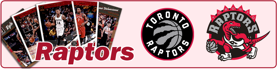 Toronto Raptors Team Sets 